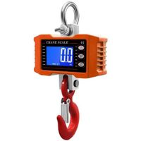 Hook meter 500kg 1T weight lifting weight industrial electronic lifting meter hook size